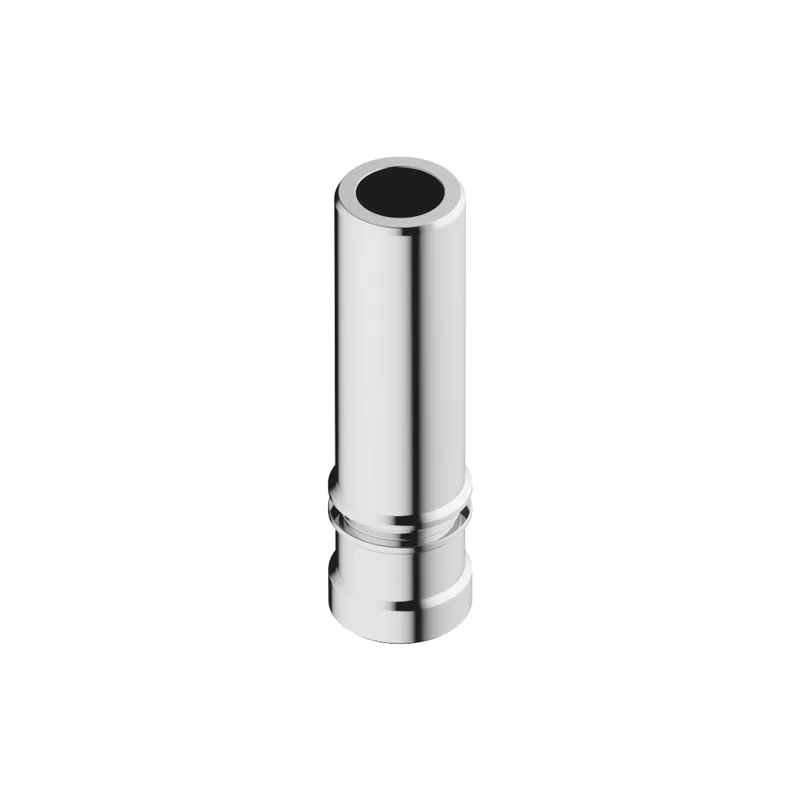 Dornbracht Halter für T-Stück ERSATZTEILE 091797050 D 20 x 70 mm Chrom