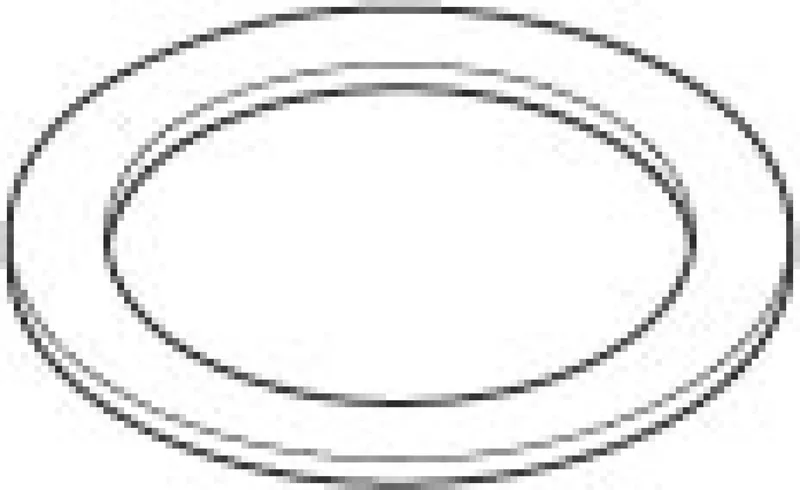 DO Ring ERSATZTEILE 092810004