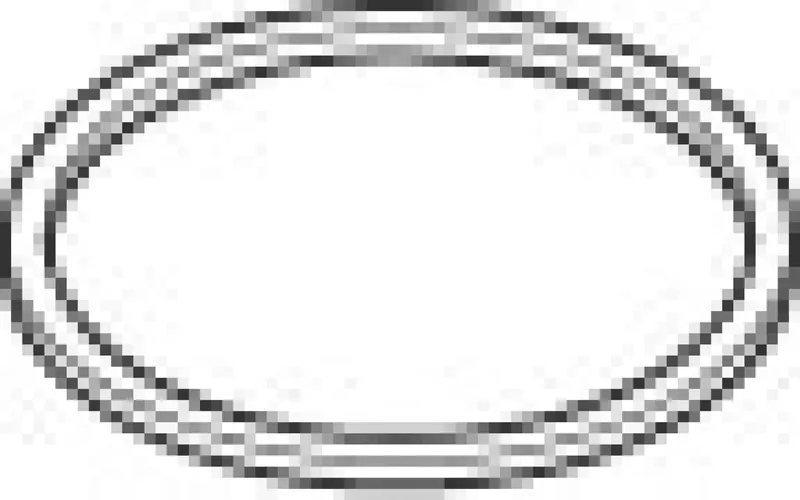Dornbracht Ring ERSATZTEILE 092810119 D 25 x 1 mm