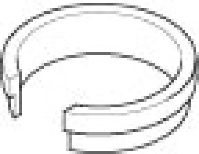 Dornbracht Ring ERSATZTEILE 092810158 D 24,8 x 6,6 mm