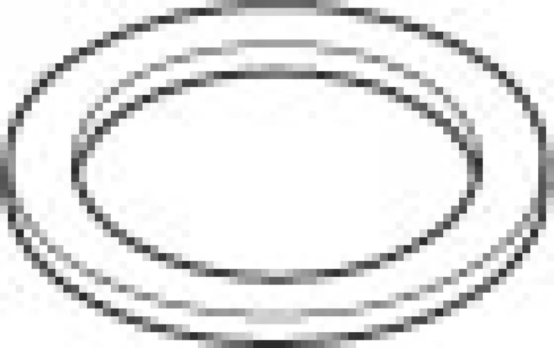 Dornbracht Ring ERSATZTEILE 093011141 D 23,5 x 1,3 mm roh vernickelt