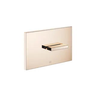 DO Abdeckplatte SERIENNEUTRAL 12660979 Champagne (22kt Gold)