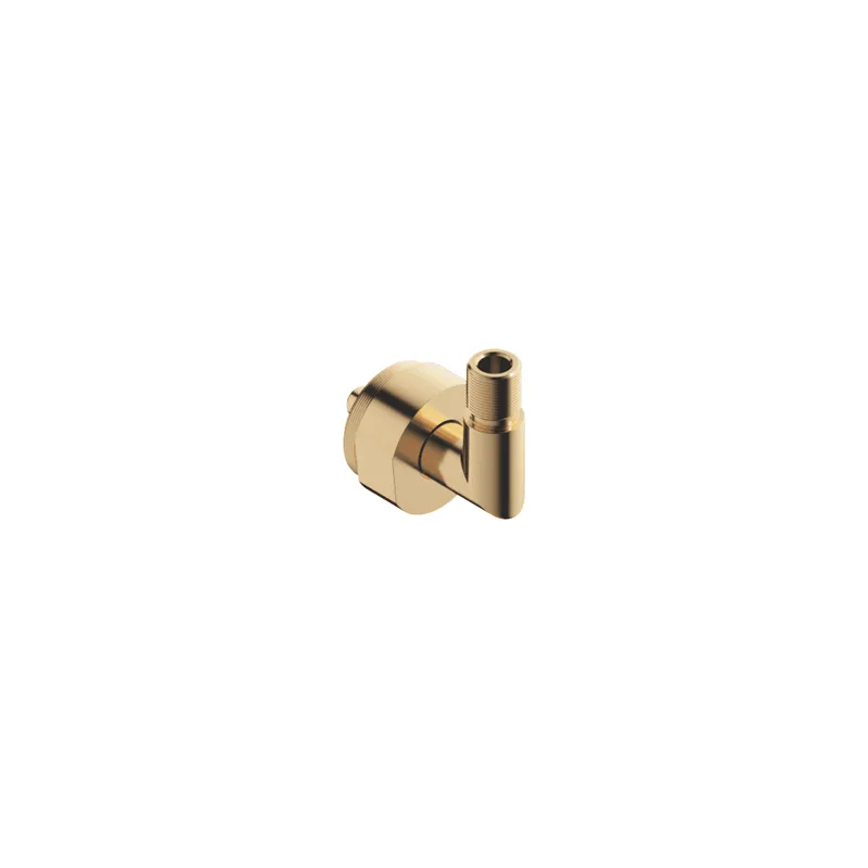 Dornbracht Halter ERSATZTEILE 90182001200 26 x 40 x 42 mm Chrom