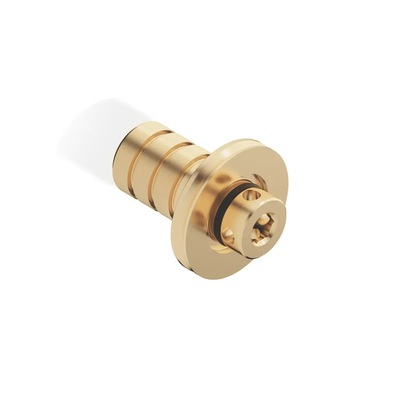 Dornbracht Nippel ERSATZTEILE 90240310800 D 40 x 50 mm, 5 l/min.
