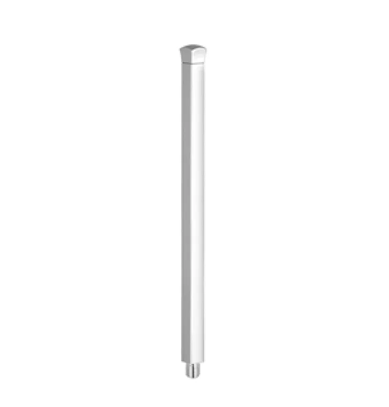 Dornbracht Bürstengr. ET 90282276000 D 21 x 286 mm Chrom
