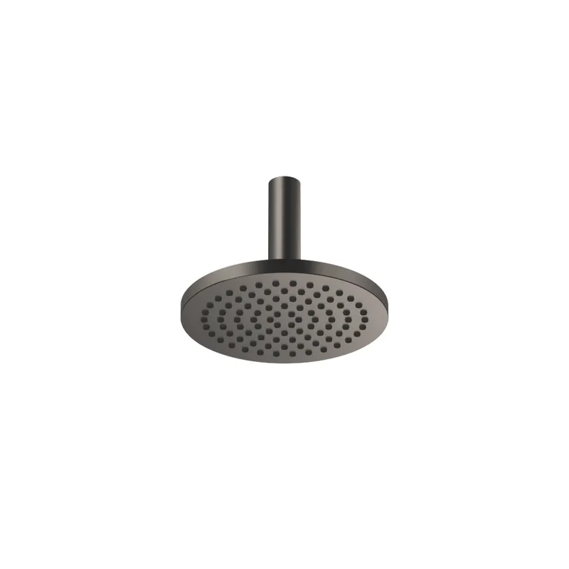 Dornbracht RB m.Deckenanb. SERIENSPEZIFISCH 28669970 220 mm Dark Platinum gebürstet
