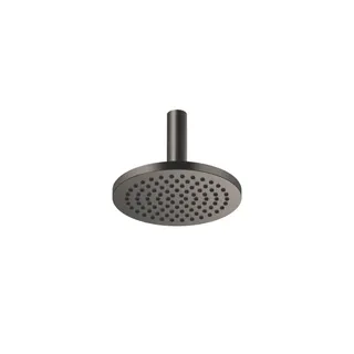 Dornbracht RB m.Deckenanb. SERIENSPEZIFISCH 28669970 220 mm Dark Platinum gebürstet