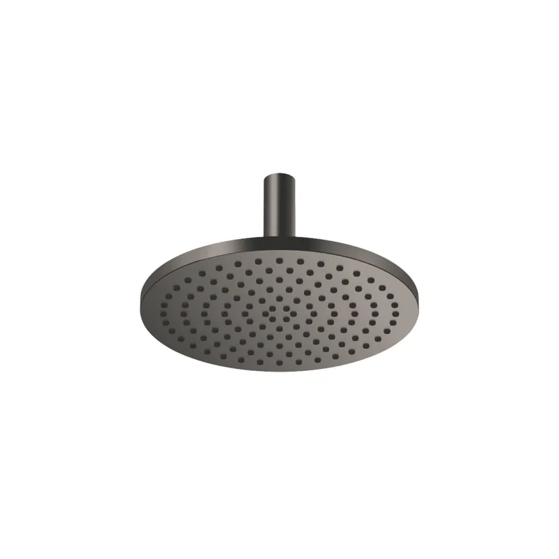 Dornbracht RB m.Deckenanb. SERIENSPEZIFISCH 28689970 300 mm Dark Platinum gebürstet