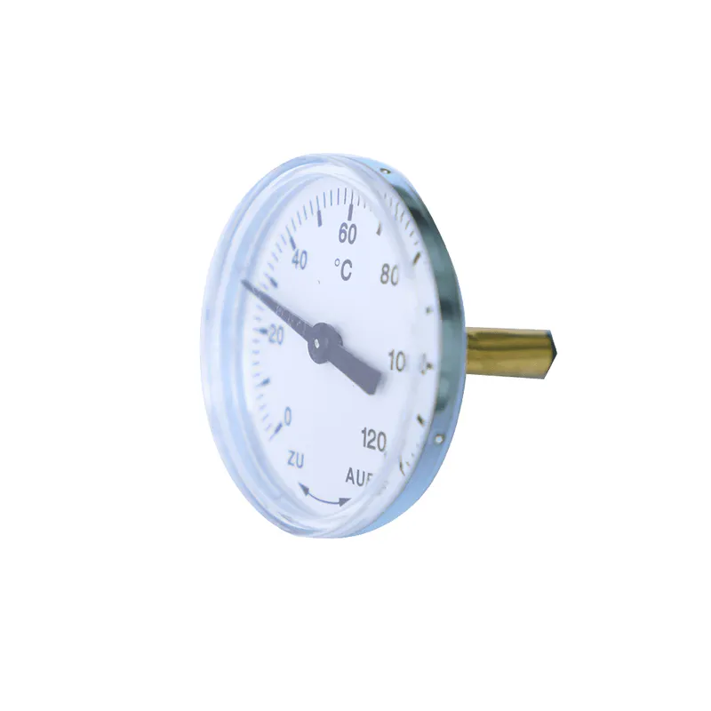 SK Thermometer BTM-2