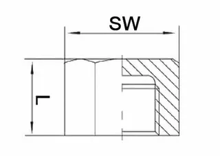 Kappe EN 10226-1 NPS=1 Zoll 8-kant L 22mm SPRINGER – Bild 2