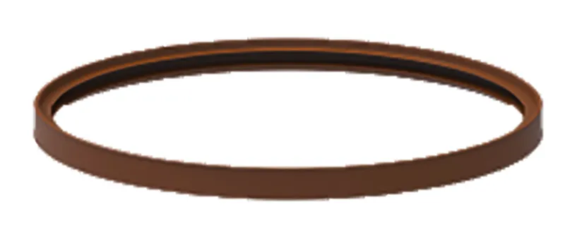 Fröling Lippendichtung Dm150