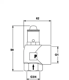 PNEUMATEX Sicherheitsventil DSV 20-3,0 H, Rotguss – Bild 5