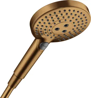 HG Handbrause Raindance Select S 120 EcoSmart BBR