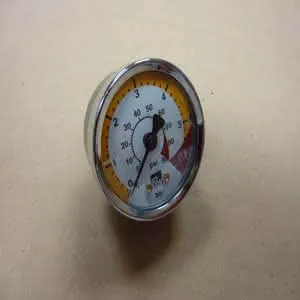 RE Manometer 0-6 bar D50 mm 300028532
