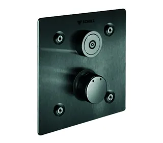 SCHELL UP-Dusche LINUS BASIC D-C-M CVD, Mischwasser, edelstahl