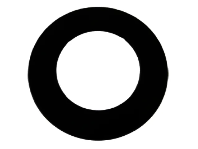 Bertrams Camino Rosette 50 mm d:120 mm, seno schwarz
