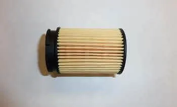 RE Filter 35 Microns 7669474