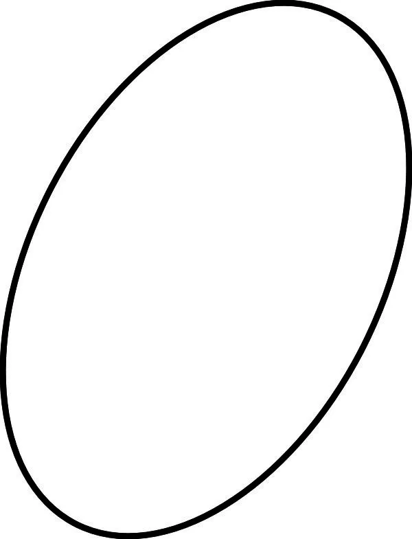 IS O-Ring A912716