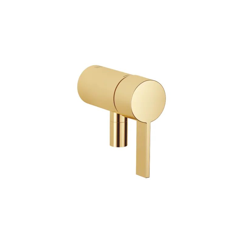 Dornbracht UP-EHM SERIENNEUTRAL 36050970 Messing gebürstet (23kt Gold)
