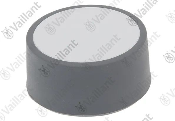 VA Knopf Vaillant-Nr. 0020213174