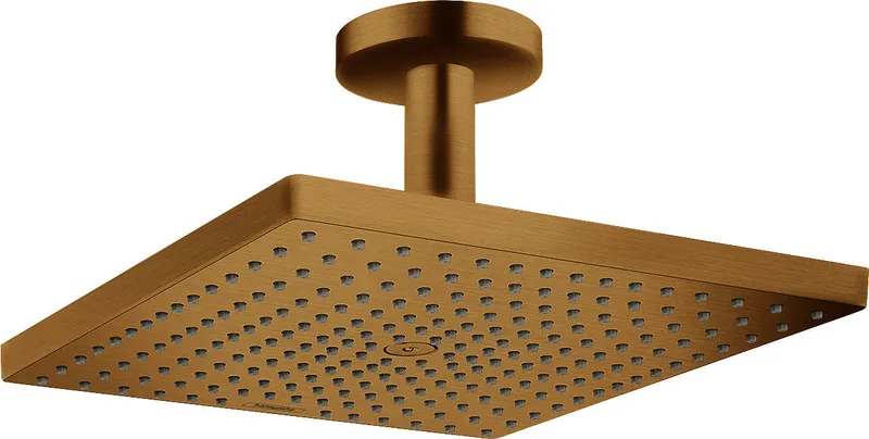 Hansgrohe Kopfbrause Raindance E 300 1jet Deckenmontage BBR