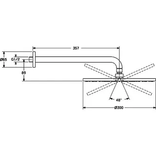 Hansa Viva Kopfbrause 300 mm mit Wandarm chrom – Bild 2