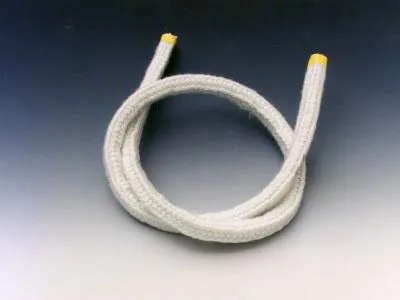 Remeha Dichtschnur 18 x 18 Tür 300009006