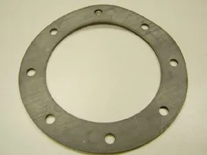 Remeha Dichtung Seitenfl. vor 01/2000 B300-5 95013138
