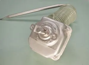 Remeha Regelthermostat 30-90 2 Stufig 85000004