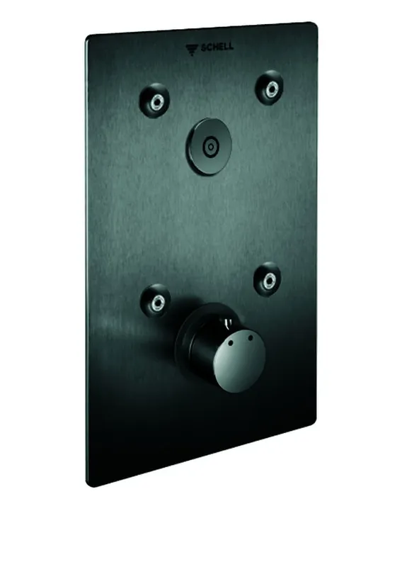 SCHELL UP-Dusche LINUS BASIC D-C-T CVD, Thermostat, edelstahl