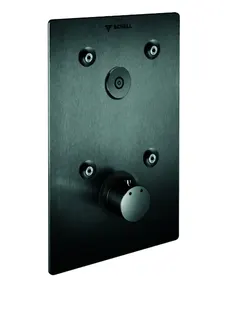 SCHELL UP-Dusche LINUS BASIC D-C-T CVD, Thermostat, edelstahl