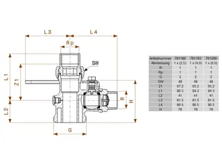 comfort-Einrohr-Gaszähler-Kugeleckhahn G211SCS R1 x Rp1 x (6,0cbm/h) Messing – Bild 2