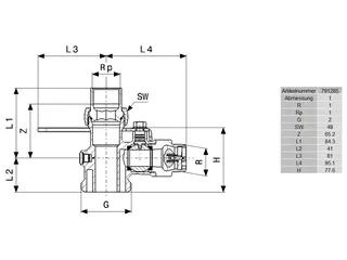 comfort-Einrohr-Gaszähler-Kugeleckhahn TAE G212TCS R1xRp1 Messing Prüfschraube – Bild 2