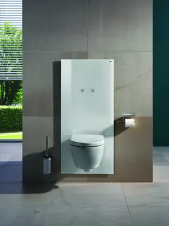 HEWI WC-Modul S 50, Betätigungsplatte, weiß – Bild 3