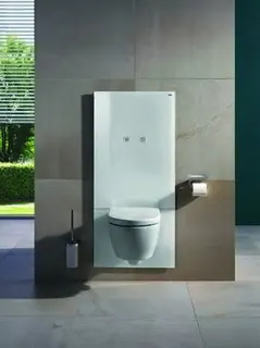 HEWI WC-Modul S 50, Betätigungsplatte, weiß – Bild 4
