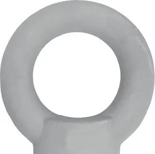 Ringmutter DIN 582 Gew.M8 STA C15 ZN 50St./VE