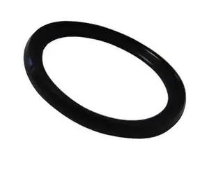Zehnder O-Ring-Dichtung 75 (10 Stück) Nr.990328362