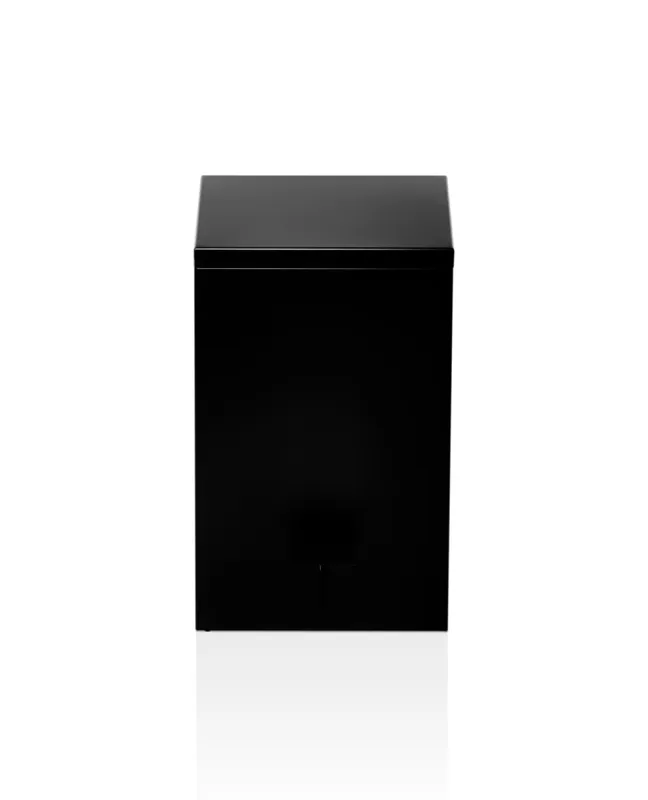 Decor Walther Pedaleimer TE 70 softclose schwarz matt