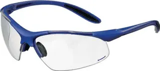 Schutzbrille DAYLIGHT PREMIUM EN 166 Büg el dunkelblau,Scheibe klar PC PROMAT