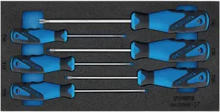 Werkzeugmodul 1500 CT1-2163 TX 6-tlg.1/3-Modul Schraubendreher TORX