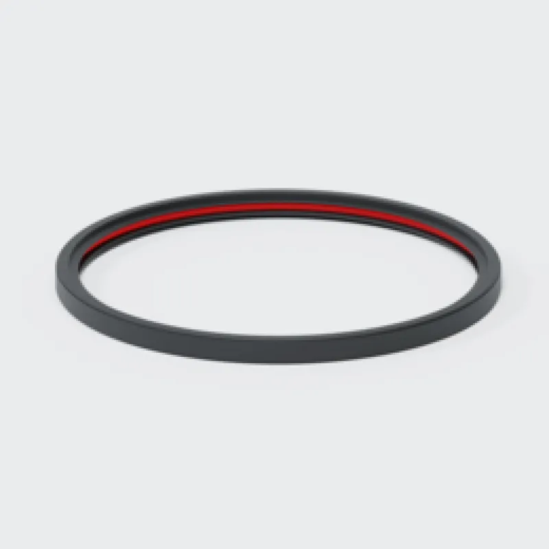 PO Doppellippendichtring DN 200