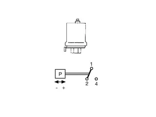 Grundfos Zubehör für Unterwasserpumpen Druckschalter FF4-4 0,22-4bar 1polig