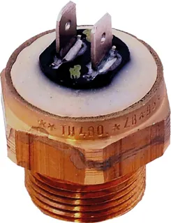 Wolf ET Sicherungsthermostat Pumpe 95C für BVG-23/30, PG25, 2744658