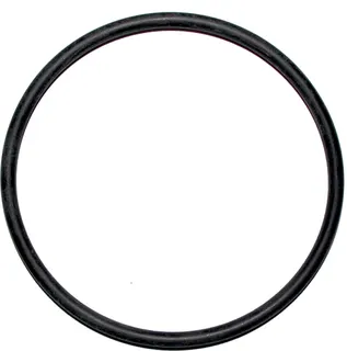 Wolf ET O-Ring 80x4 für BWL-1S, PG12, 3910328