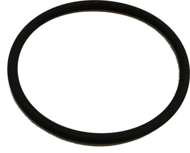 Wolf ET O-Ring für Abgaswärmetauscher für CSK, PG10, 8905608