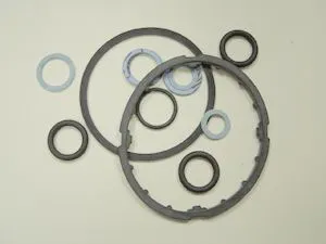 De Dietrich Set Dichtungen Nr.86665567 (PG022)