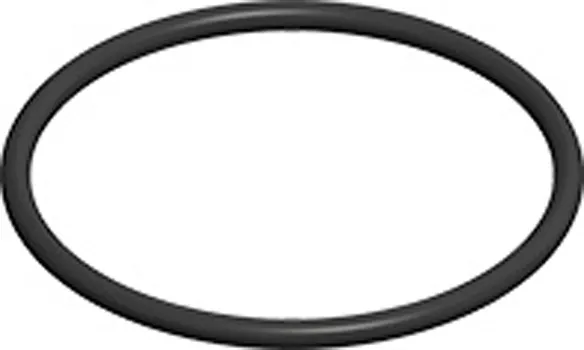 comfort-O-Ring Dichtung zu Abgasdeckel DN250 Nr. 169381