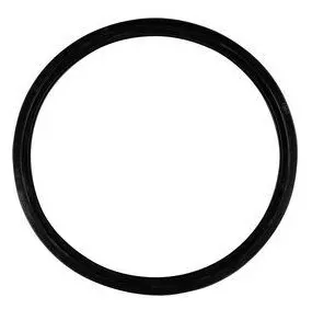 Skoberne Satz Lippendichtung D 160, EPDM, (10 Stück)