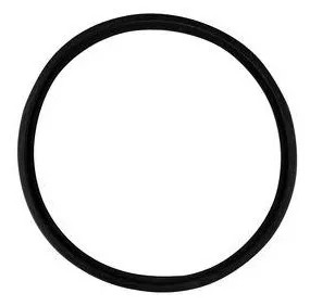 Skoberne Satz Lippendichtung D 200, EPDM, (10 Stück)
