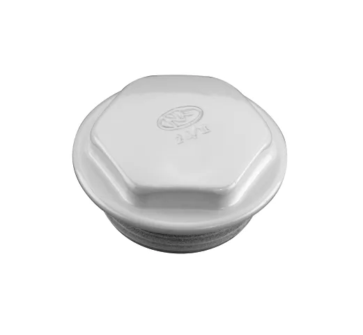 Zehnder Blindstopfen für 2-Säuler Rechtsgewinde 1", RAL 9016, 906001